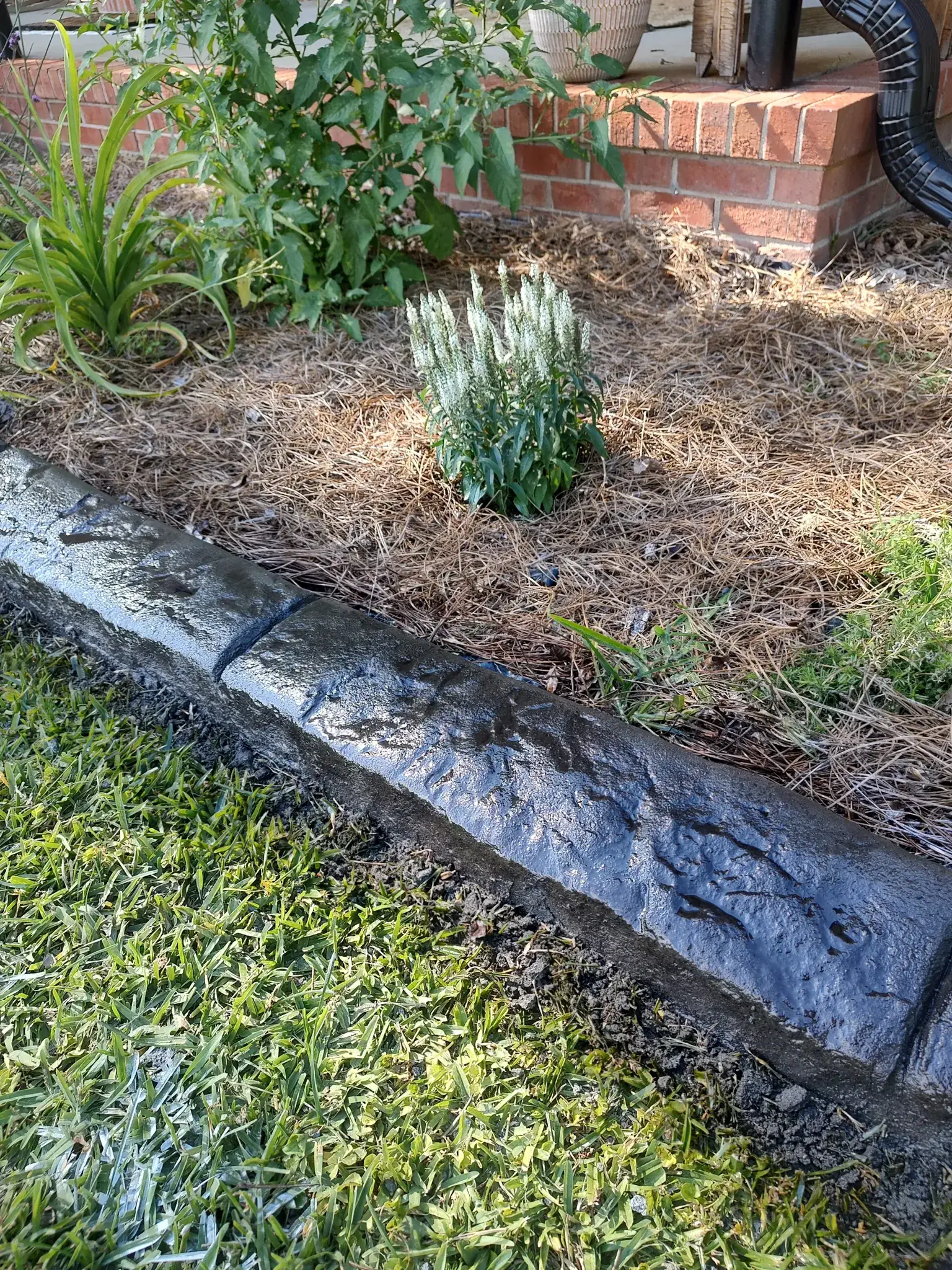 Detail of stamped concrete curbing edge and finish