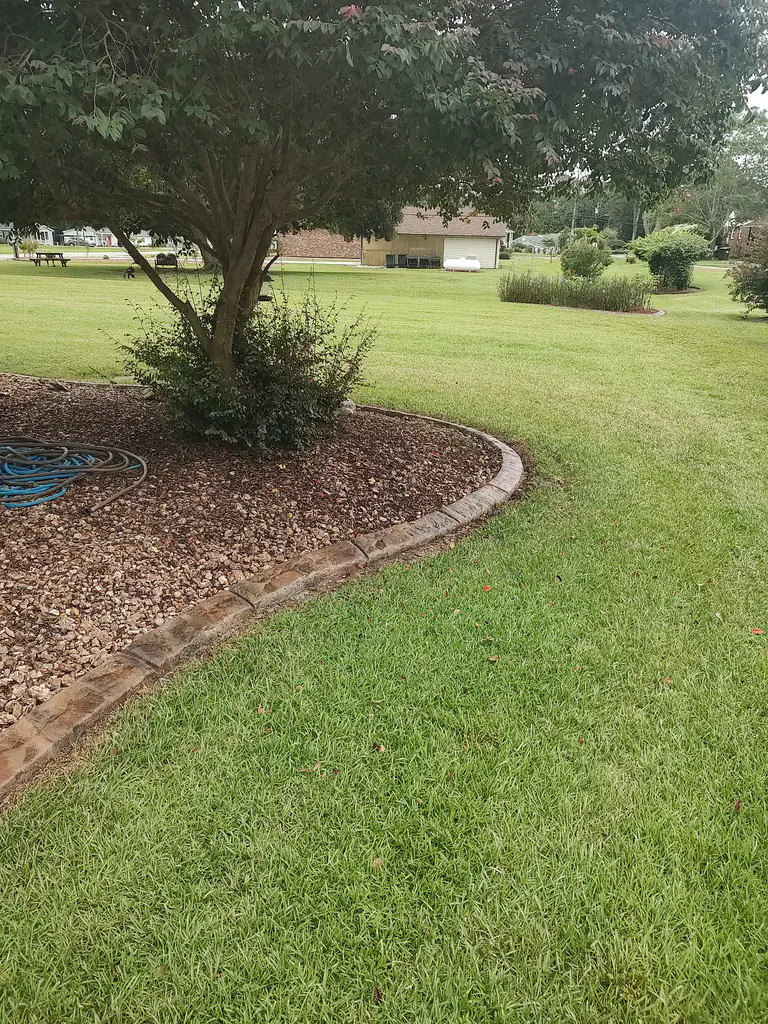 Curved concrete curbing bordering a garden bed filled with decorative rocks