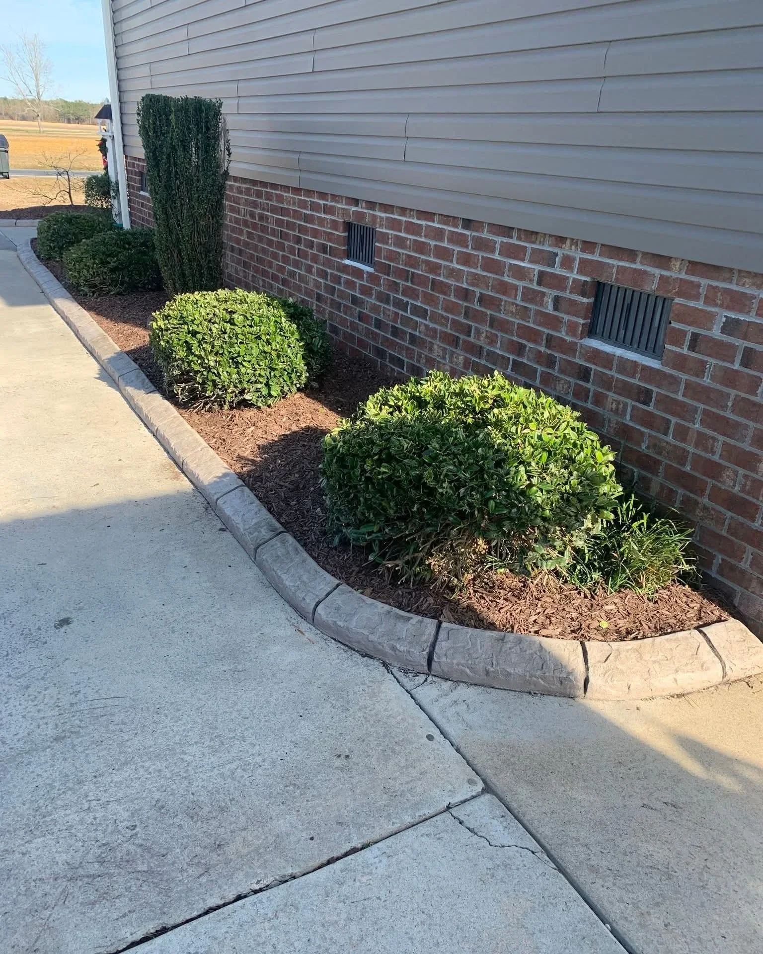 Concrete curbing edging a foundation bed of boxwood shrubs along a residential driveway