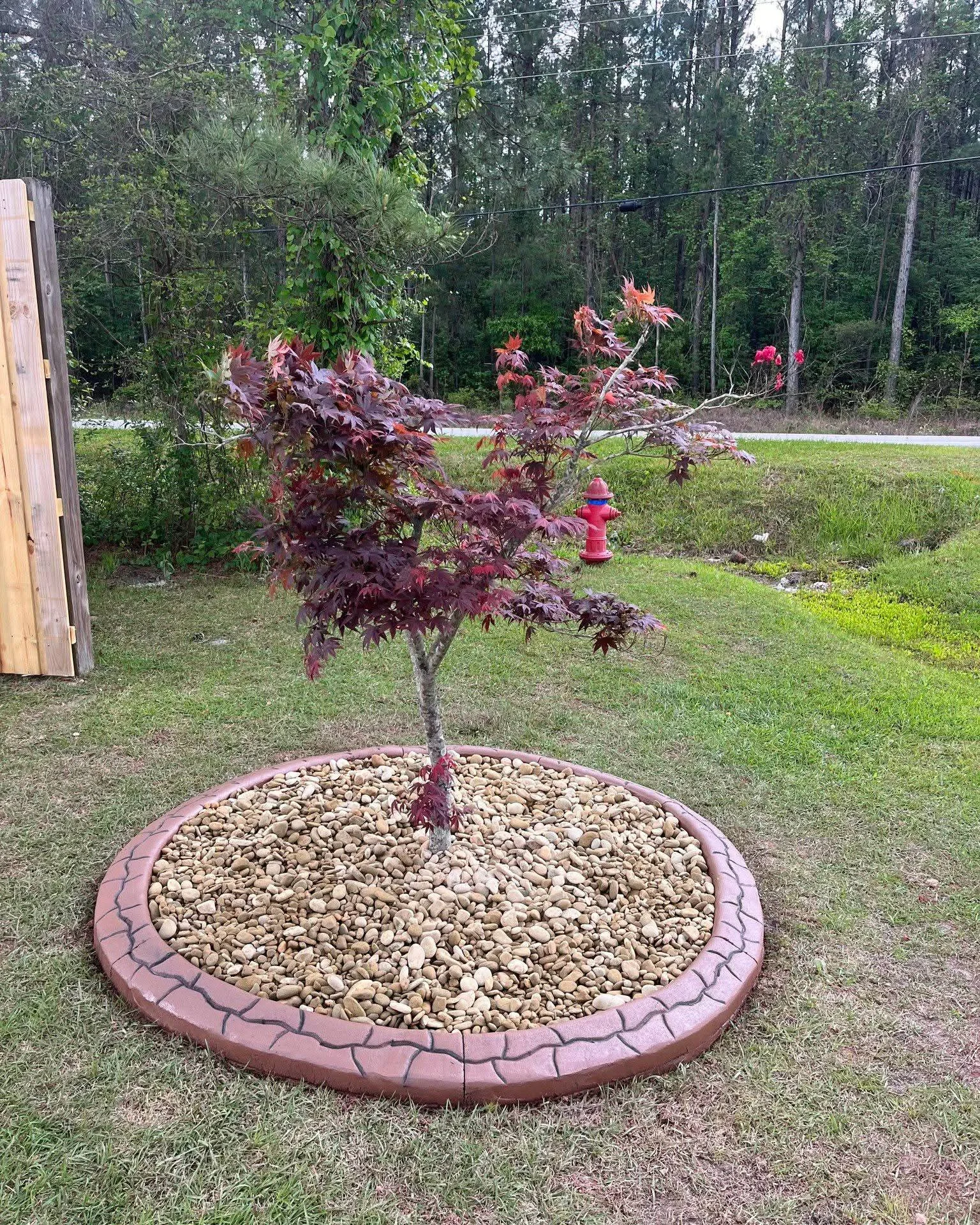 Circular garden bed with Japanese maple and decorative gravel, enclosed by concrete curbing