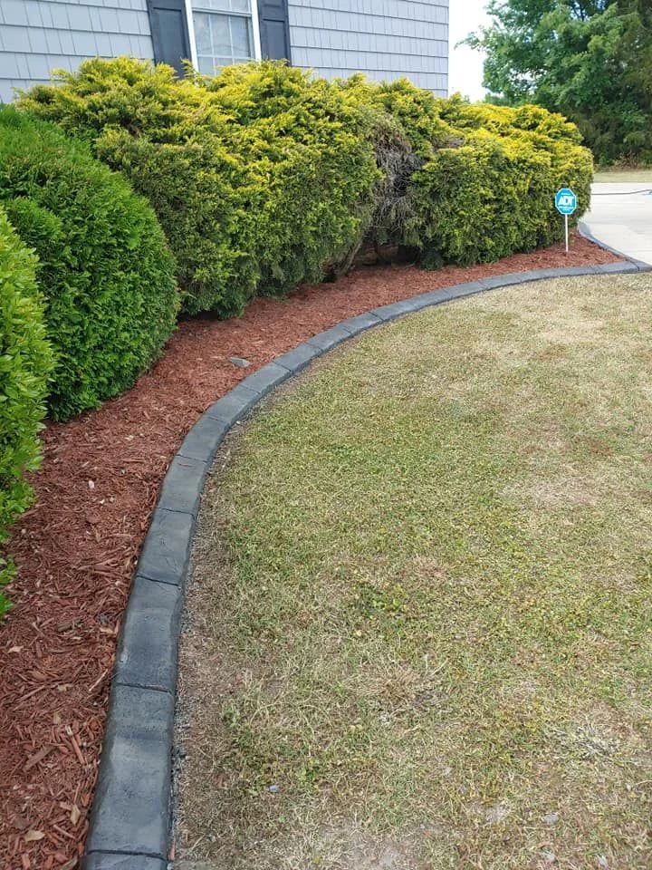 Garden bed edged with poured concrete curbing